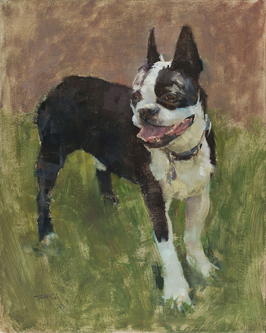 Dog portrait of Jasper, a Boston Terrier painted by artist Patrick Saunders in oils on canvas.