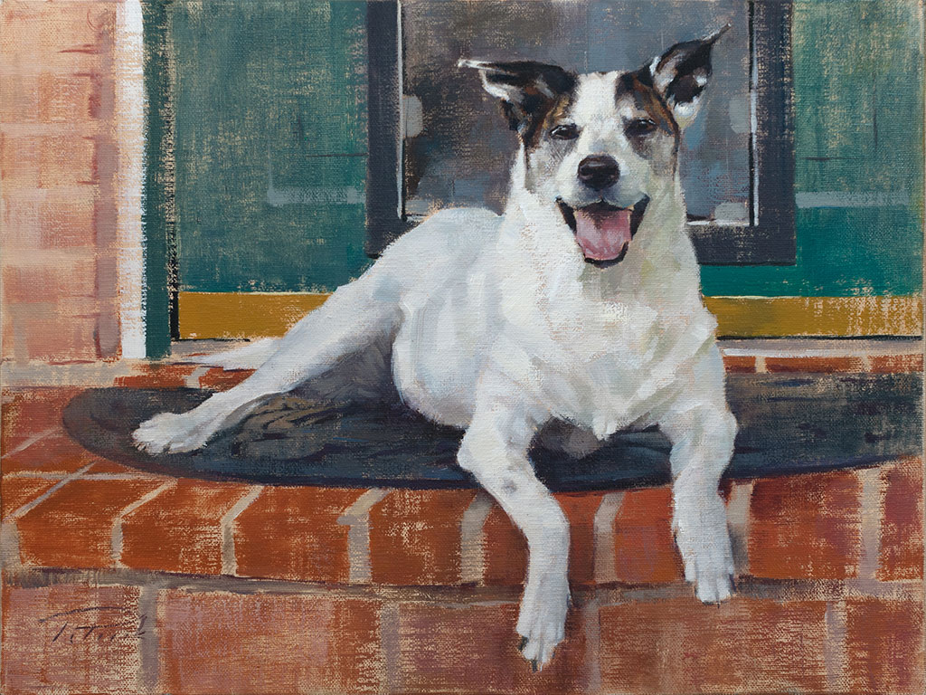 Dog portrait, Anticipation, painted by artist Patrick Saunders in oils on canvas.