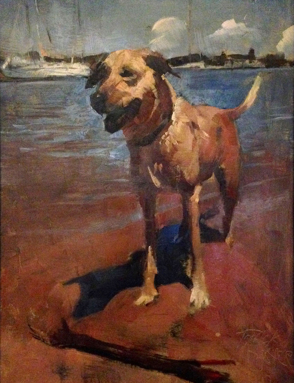 Dog portrait of Maggie painted by artist Patrick Saunders in oils on panel.