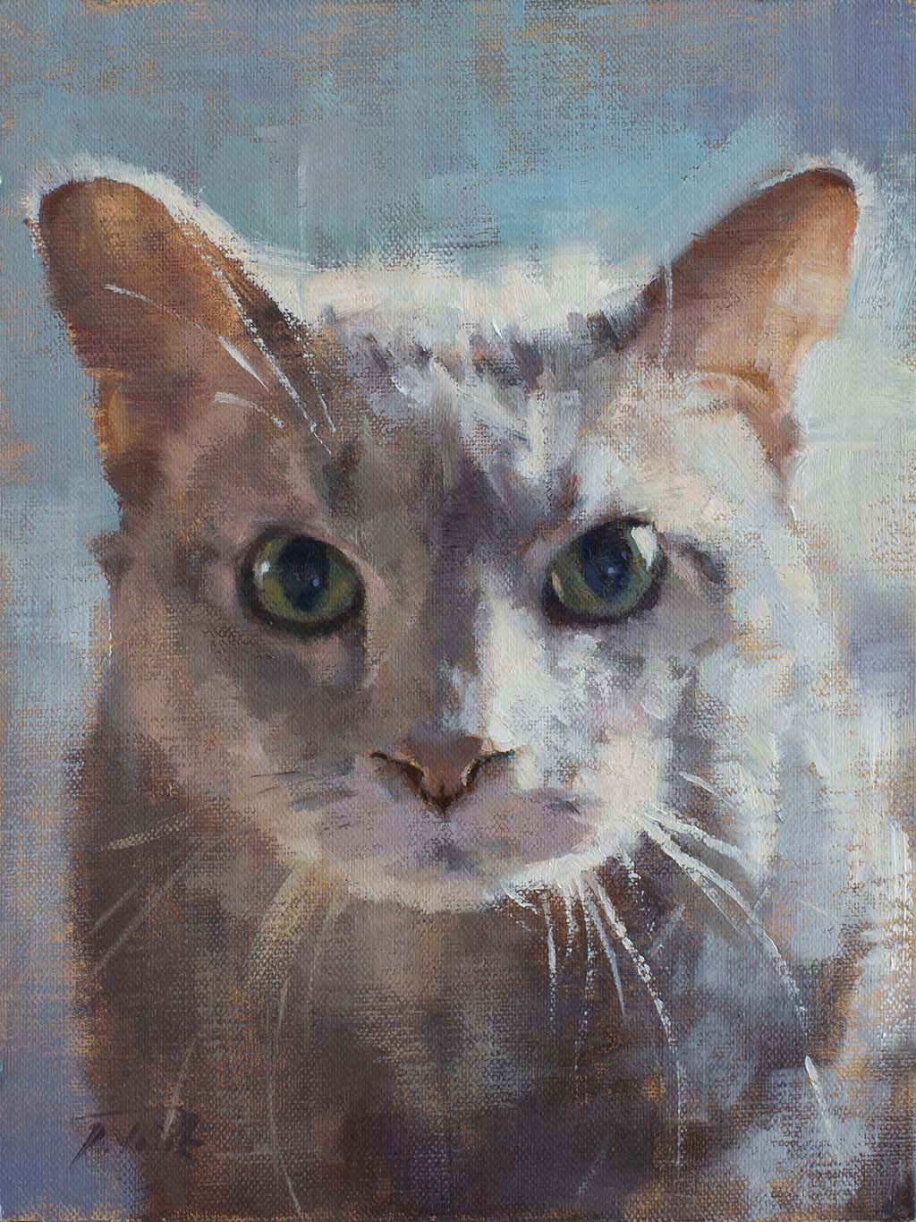 Cat portrait of Dignan, painted by artist Patrick Saunders in oils on canvas.