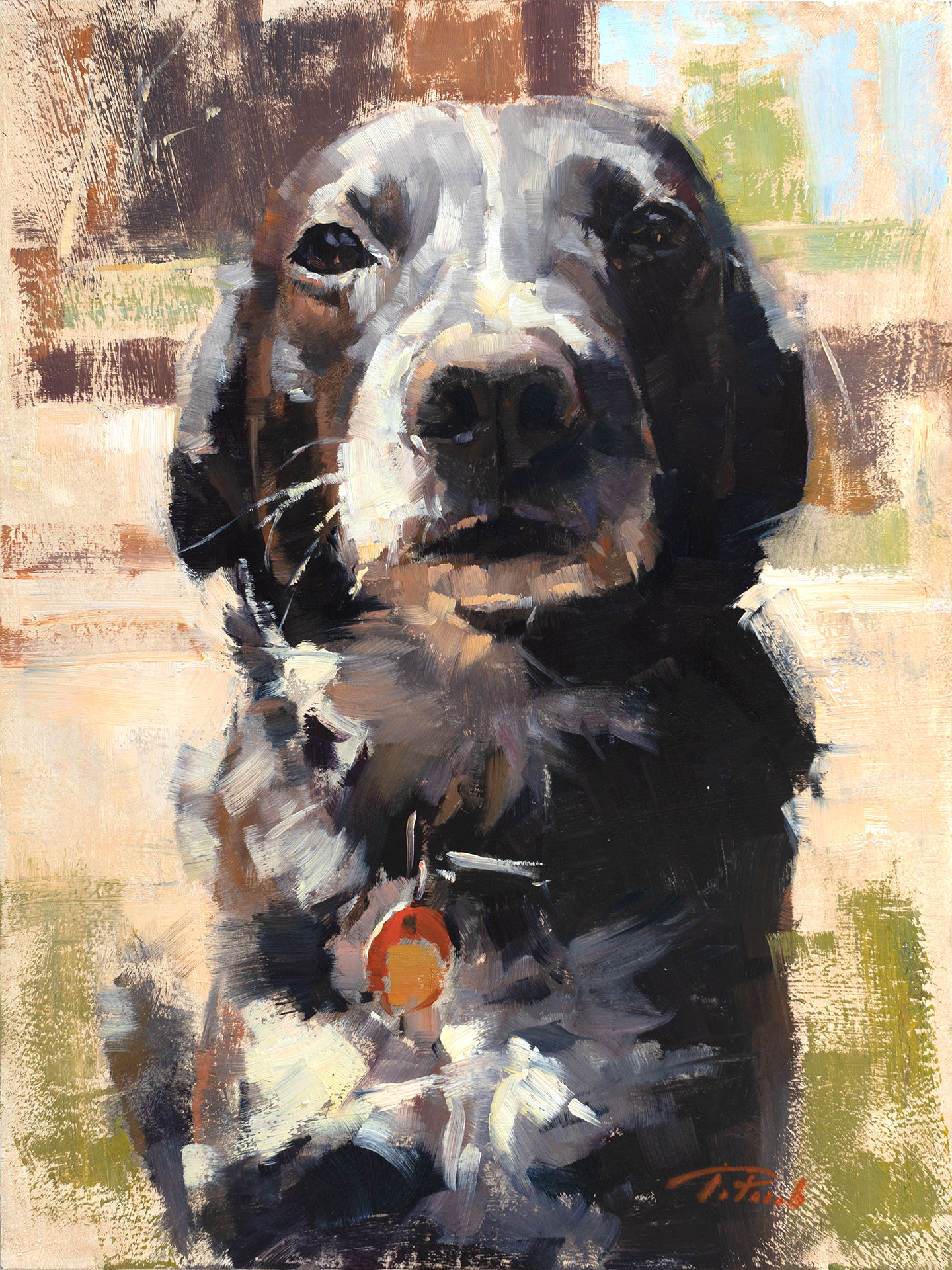 Dog portrait of Betty, painted by artist Patrick Saunders in oils on linen.